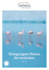 2025 Gebeco Kleingruppen-Reisen, die verzücken.