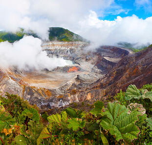 Costa Rica ─ Vogelgezwitscher und Kaffeeduft