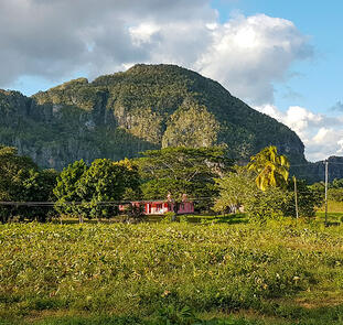 Kuba ─ Kultur und Karibikstrand Kuba ─ Kultur und Karibikstrand