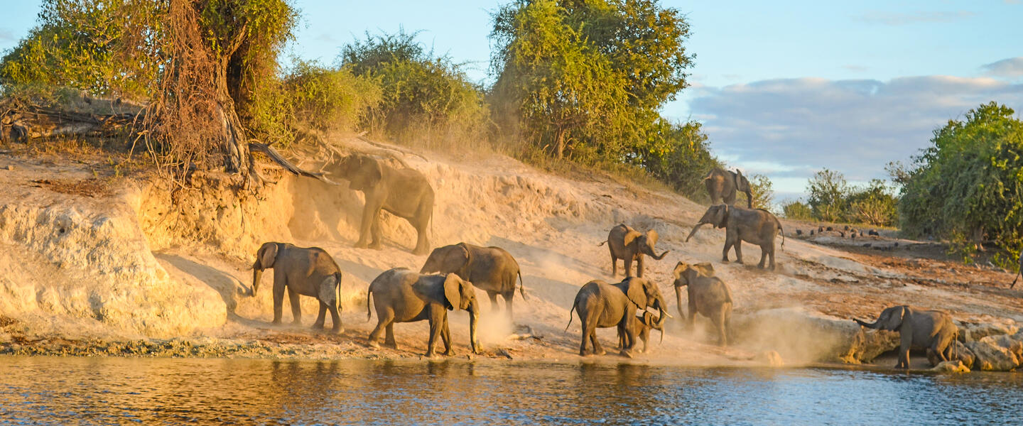 Namibia, Botswana und Simbabwe