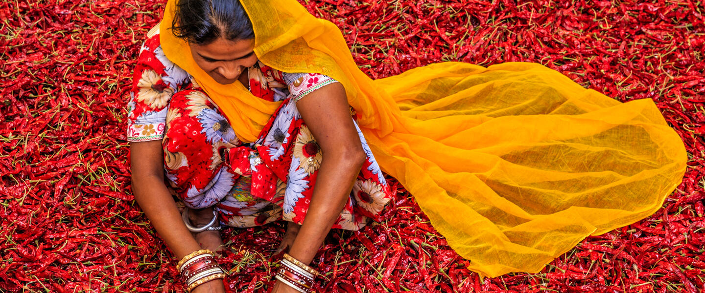 Indien - Spiritualität im Himalaya