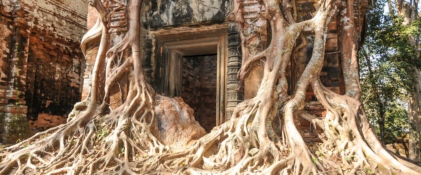 Tempelzauber in Vietnam und Kambodscha