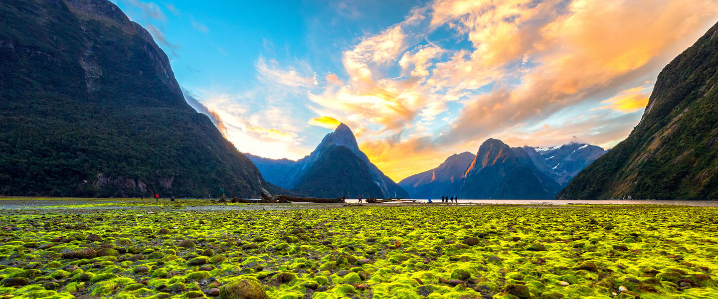 Vielseitiges Neuseeland