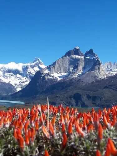 Argentinien und Chile ─ Naturwunder am Ende der Welt
