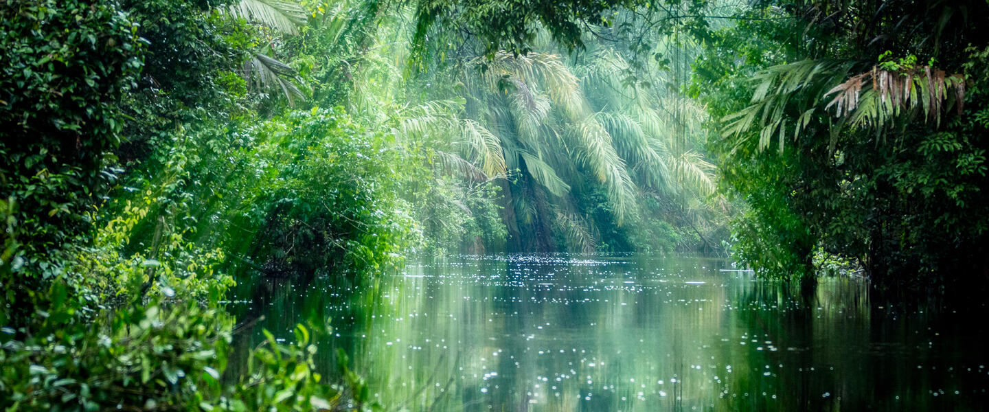 Costa Rica und Nicaragua - Naturschätze und Kulturerbe 2027