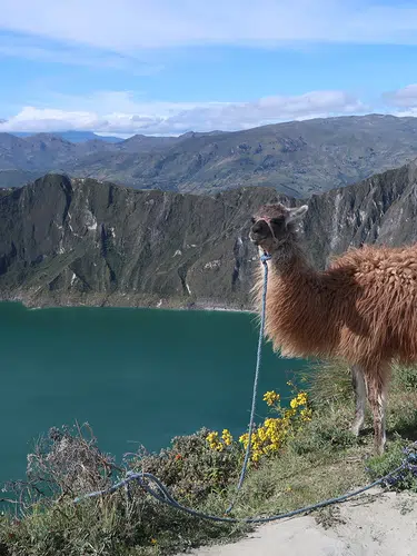 Ecuador und Galápagos zum Kennenlernen