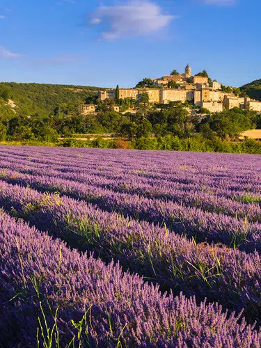 Provence ─ zwischen Tradition und Moderne