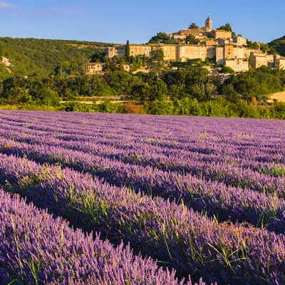 Provence ─ zwischen Tradition und Moderne