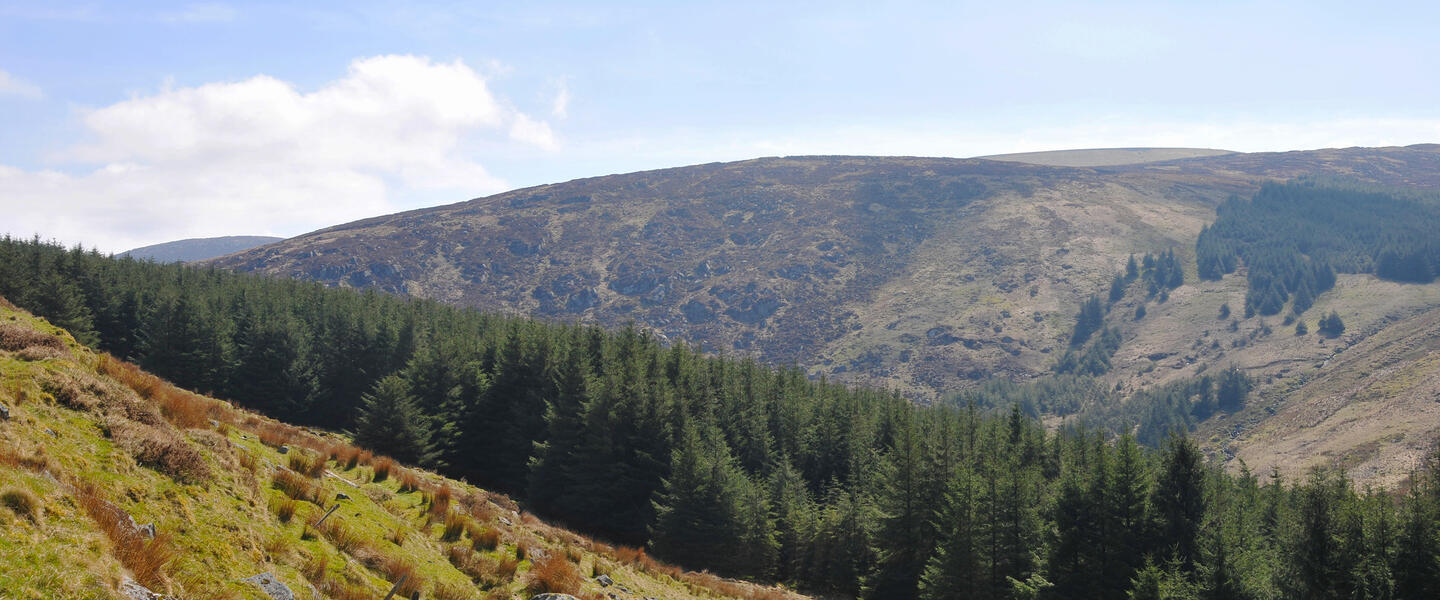 Irland - Land der Mythen und Legenden mit Übernachtung auf den Aran Inseln Irland - Land der Mythen und Legenden mit Übernachtung auf den Aran Inseln