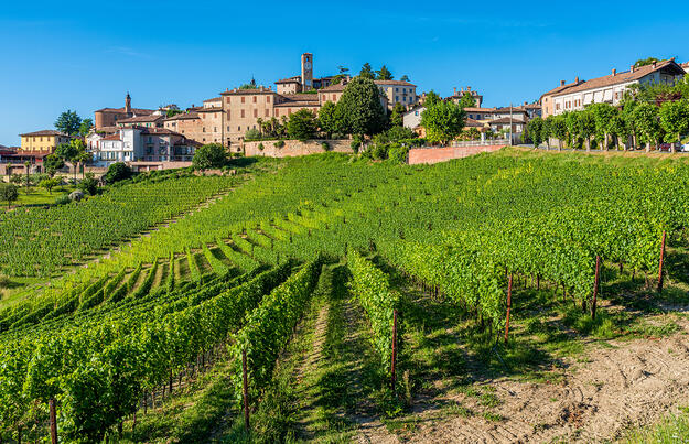 Piemont - ein genussvolles Erlebnis Piemont - ein genussvolles Erlebnis