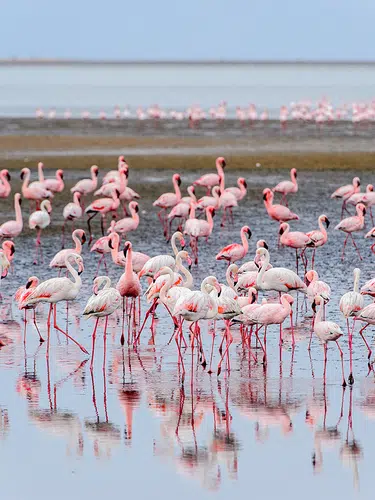 Namibia - Wildnis und Weite mit Flair
