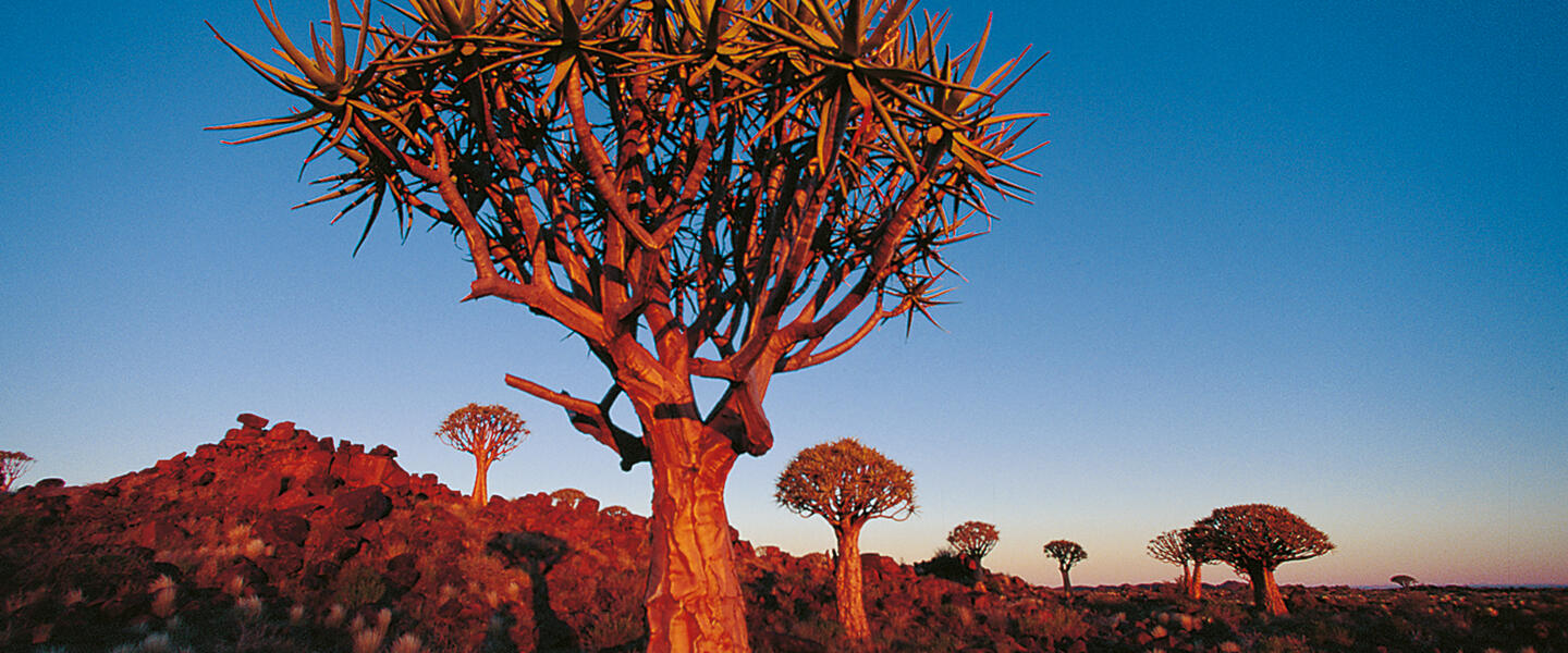 Naturschätze im südlichen Afrika