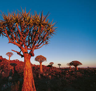 Simbabwe, Namibia, Botswana - im Herzen Afrikas
