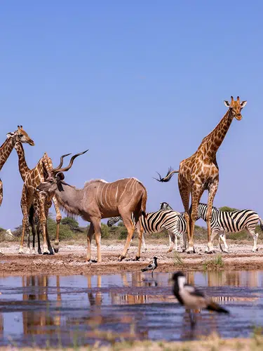 Namibia hautnah - Wüste, Weite und Sternenhimmel