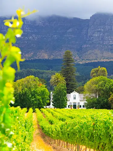Südafrika Classics