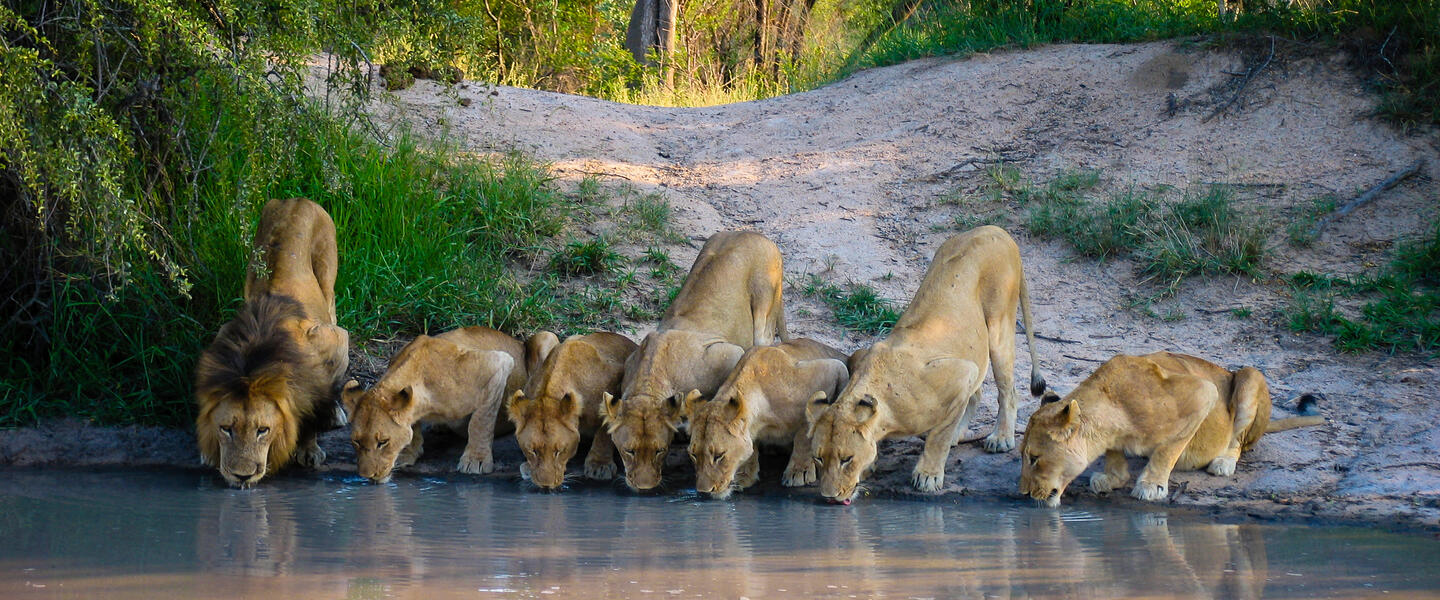 Südliches Afrika - Sinfonie der Naturwunder