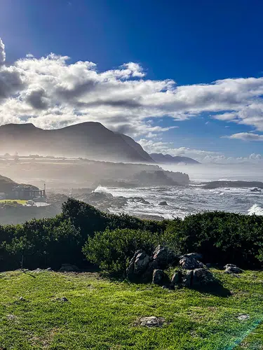 Rooibos Rhapsodie - Teezeit in Südafrika