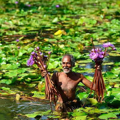 Der Zauber Sri Lankas