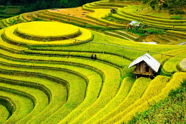 Kulturschätze in Vietnam und Kambodscha