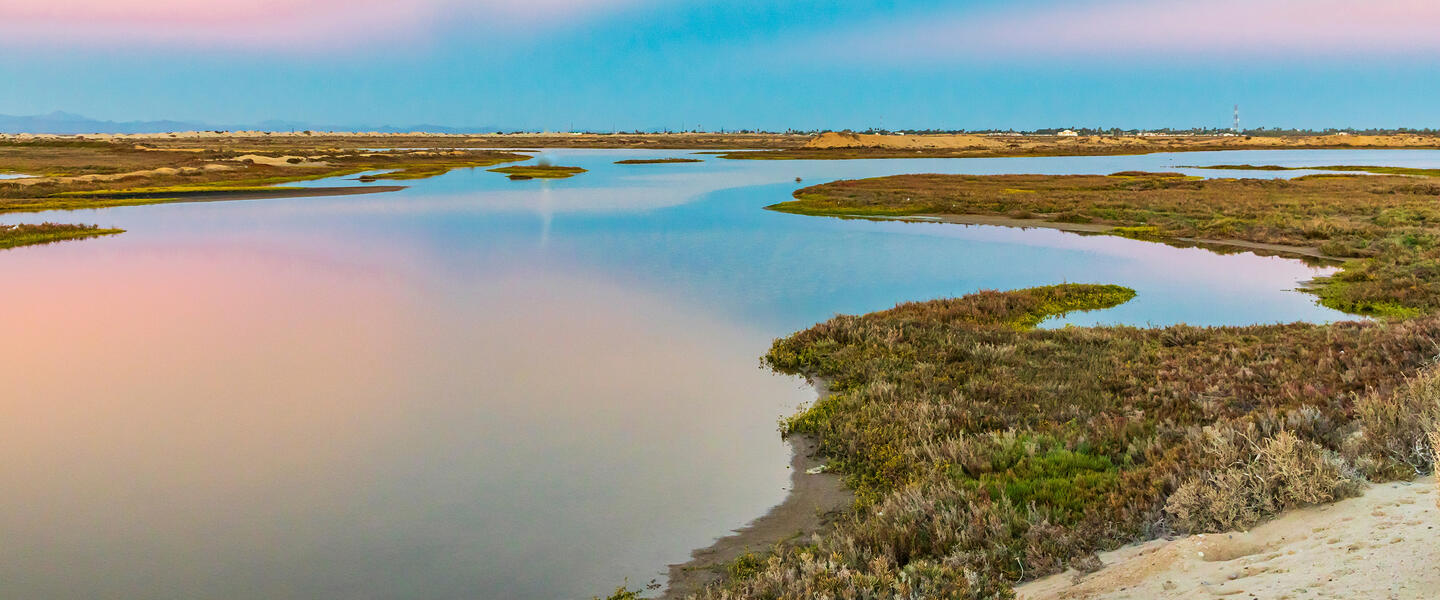 Baja California Sur - unbekanntes Naturparadies Baja California Sur - unbekanntes Naturparadies