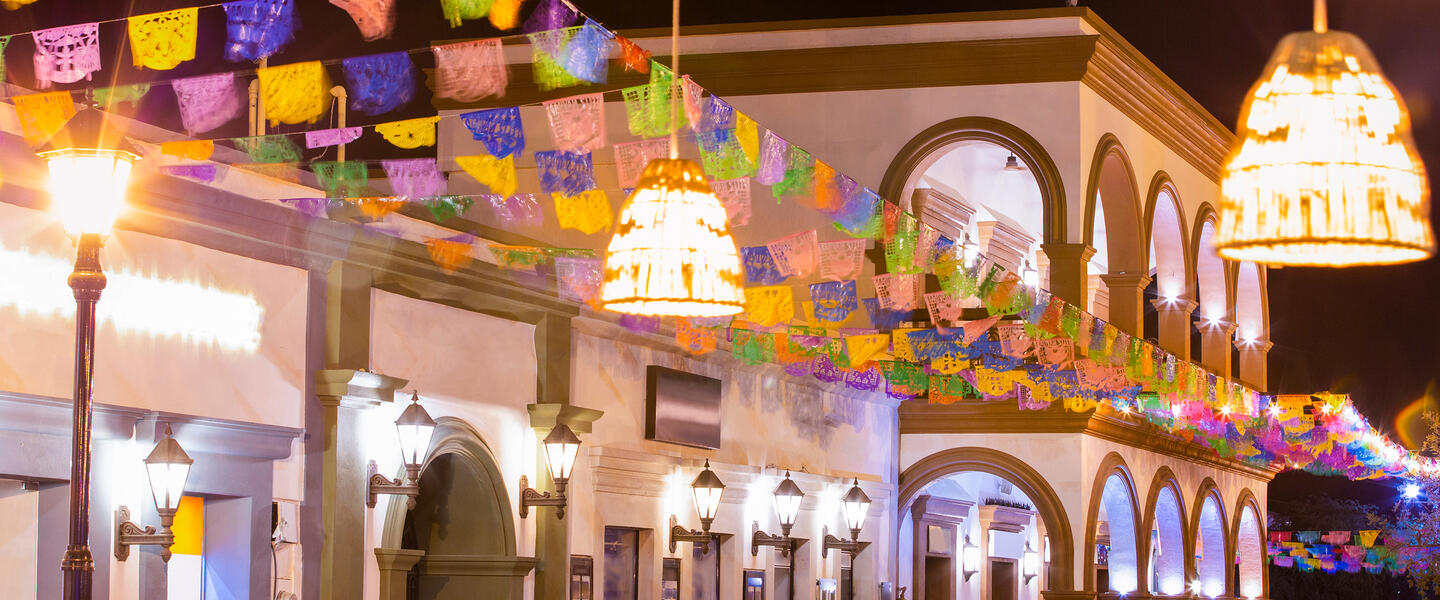 Baja California Sur - unbekanntes Naturparadies Baja California Sur - unbekanntes Naturparadies