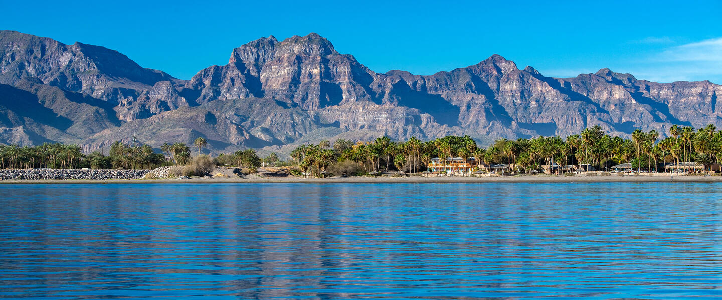 Baja California Sur - unbekanntes Naturparadies Baja California Sur - unbekanntes Naturparadies