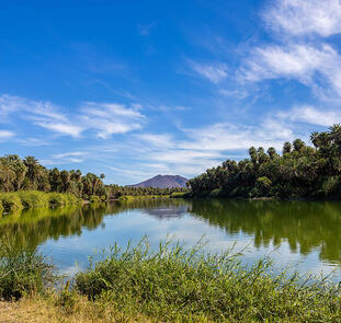 Baja California Sur - unbekanntes Naturparadies Baja California Sur - unbekanntes Naturparadies