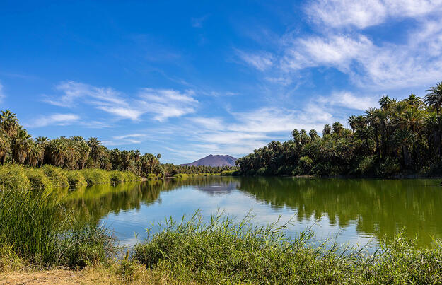 Mexiko: Baja California Sur - unbekanntes Naturparadies
