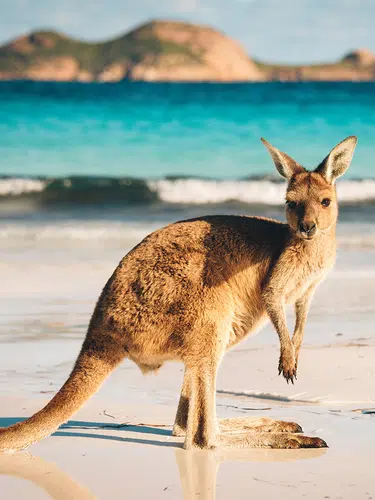 Australien in Style
