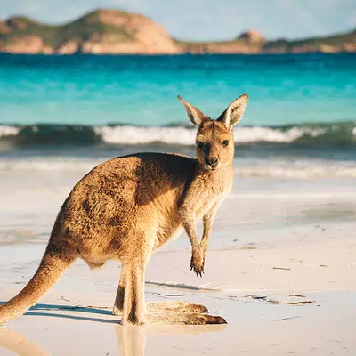 Australien in Style