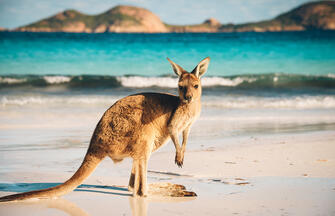 Australien in Style