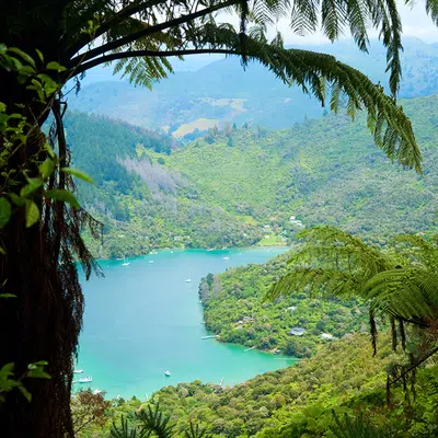 Neuseelandsafari - von Auckland nach Christchurch
