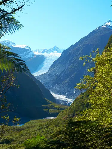 Neuseelandsafari - von Auckland nach Christchurch