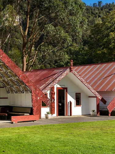Neuseelandsafari ─ von Christchurch nach Auckland