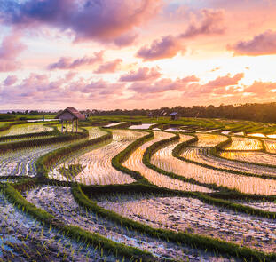 Nusa Dua Beach Hotel & Spa, Bali, Nusa Dua