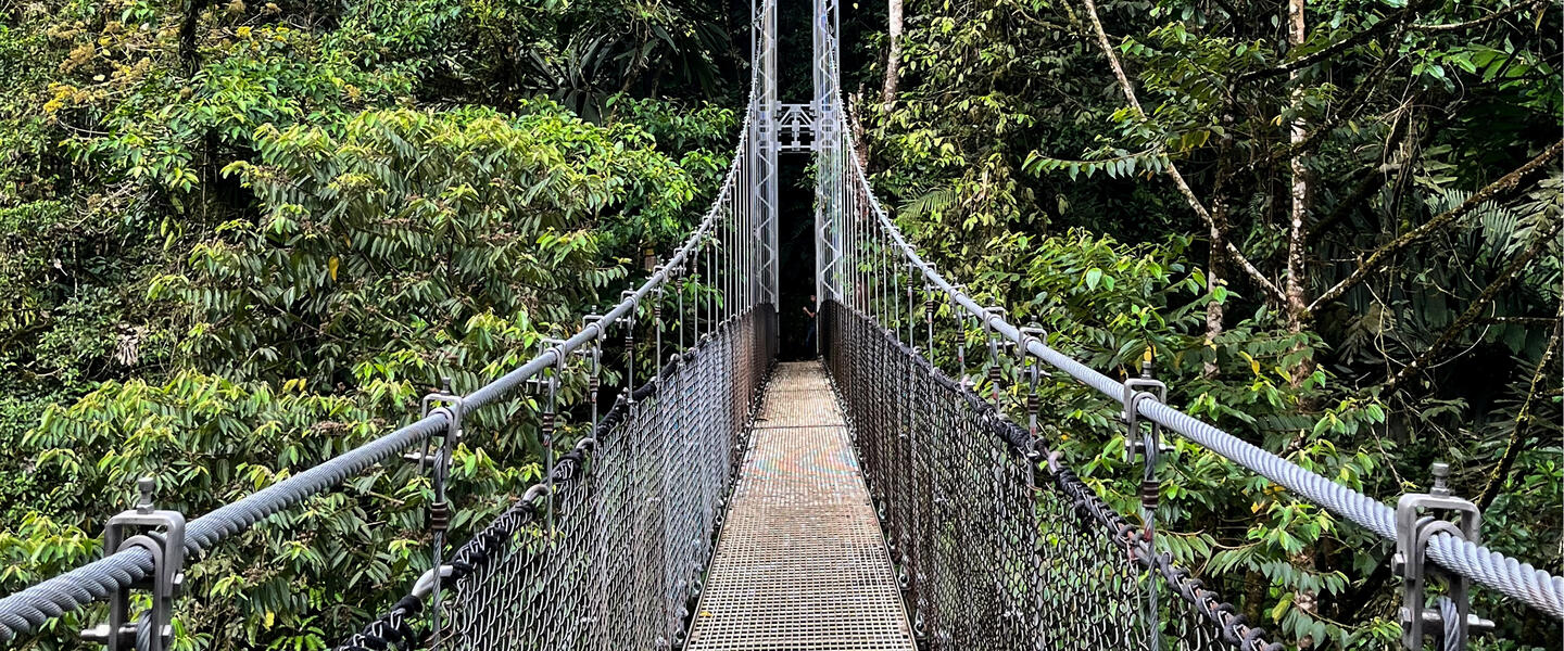 Costa Rica - im Herzen der Natur privat Costa Rica - im Herzen der Natur privat