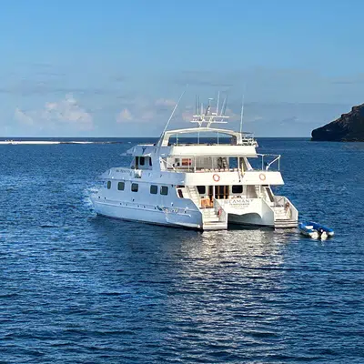 Galápagos mit dem Schiff entdecken
