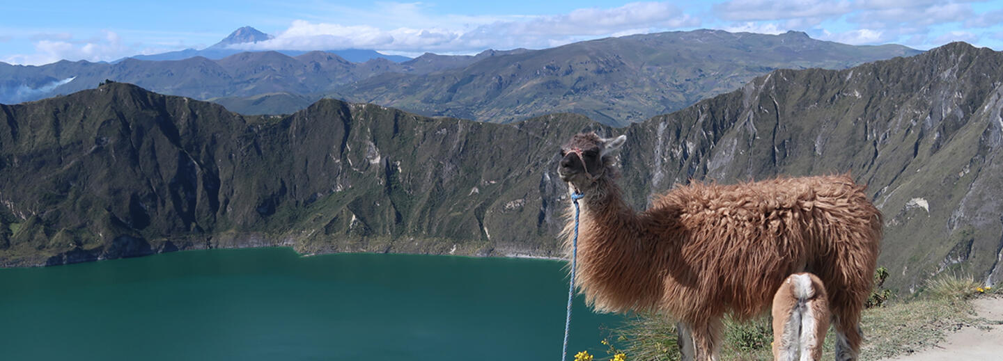 Ecuador und Galápagos zum Kennenlernen privat