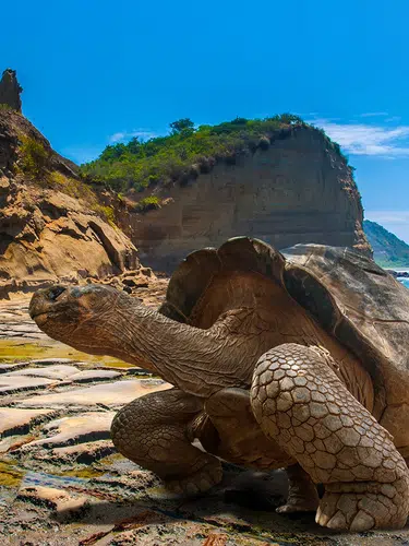 Ecuador und Galápagos zum Kennenlernen privat