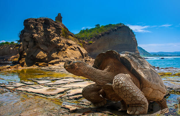 Ecuador und Galápagos zum Kennenlernen privat Ecuador und Galápagos zum Kennenlernen privat