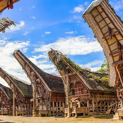Faszinierendes Sulawesi