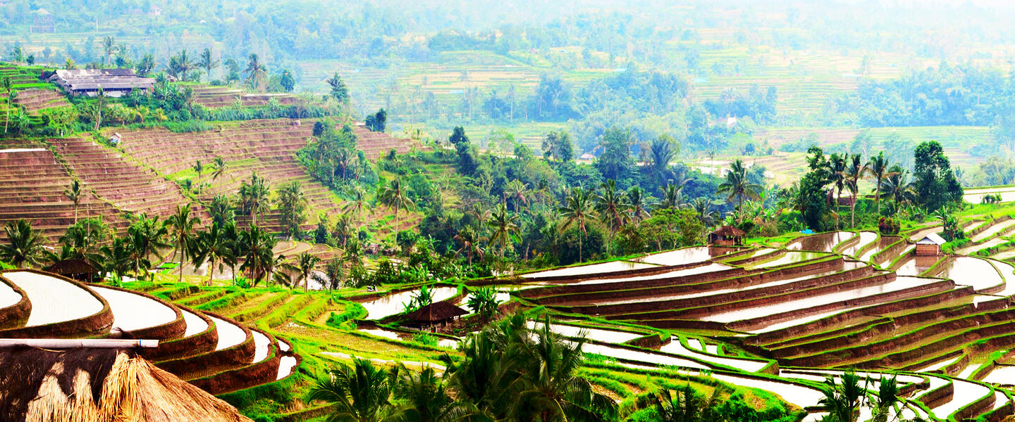 Naturschönheiten auf Sumatra