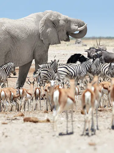 Entdeckungsreise Namibia privat