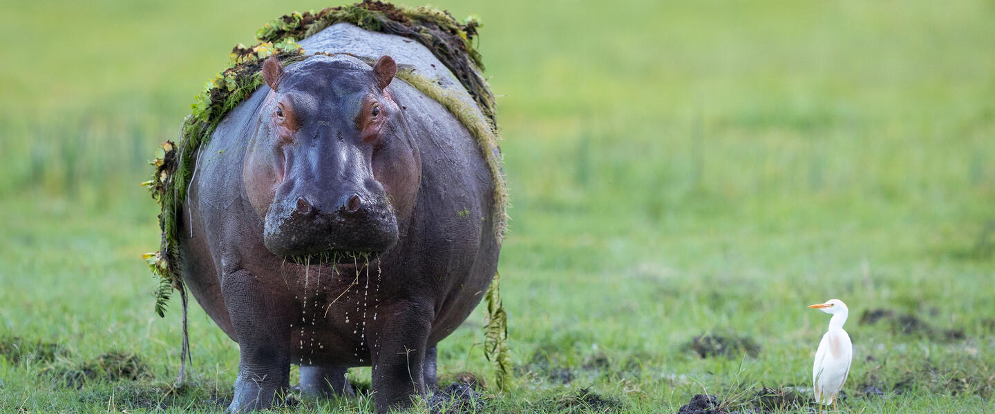 Namibia - von Windhoek zu den Victoria-Fällen privat