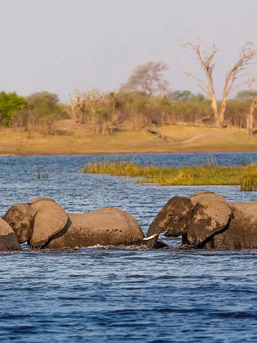 Namibia - von Windhoek zu den Victoria-Fällen privat