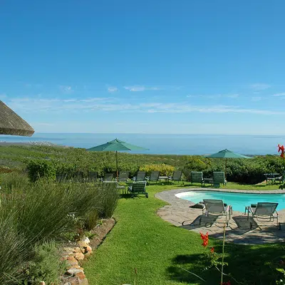 Grootbos Private Nature Reserve