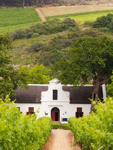 Südafrika für Selbstfahrer - Kapstadt, Gartenroute und Karoo