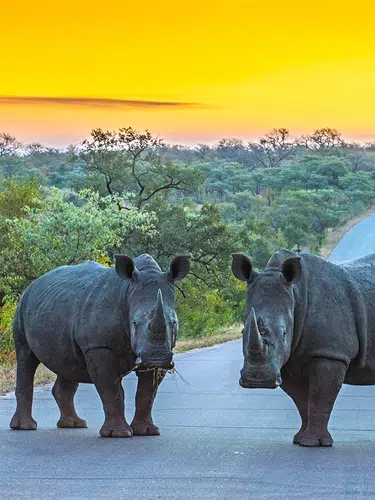 Südafrika ausführlich entdecken für Selbstfahrer