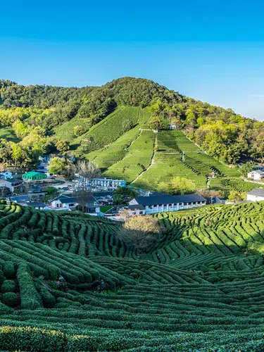 Zhejiang entdecken