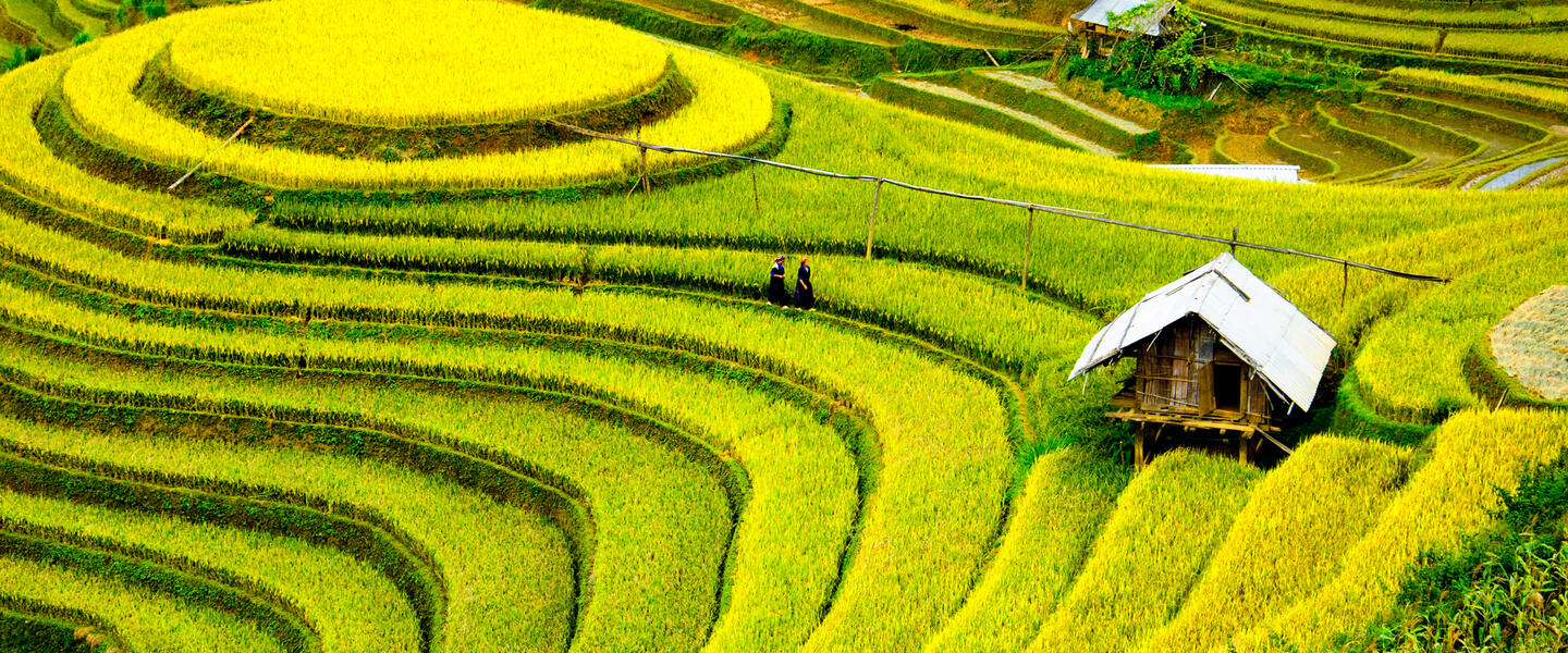 Vietnam facettenreich entdecken